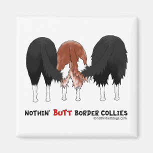 Ingenting knuffar gränsCollies Magnet
