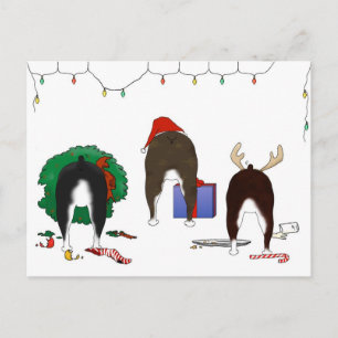 Ingenting knuffar jul för en Boston Terrier Helg Vykort