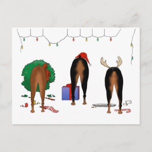 Ingenting knuffar jul för en Doberman Helg Vykort