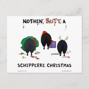 Ingenting knuffar jul för en Schipperke Helg Vykort