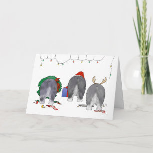 Ingenting knuffar jul för en Sheepdog Helgkort