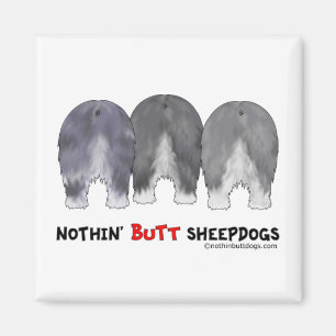 Ingenting knuffar Sheepdogs Magnet