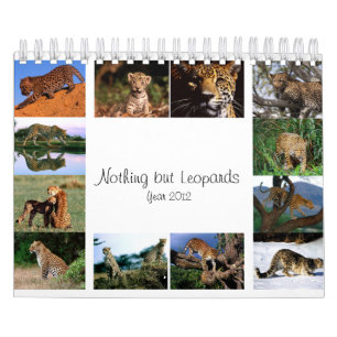 Ingenting utom Leopards - kalender 2012