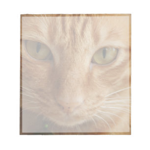 ingerkatt anteckningsblock