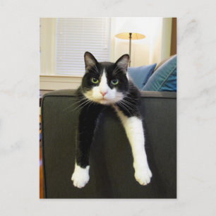 Inget att göra vykort