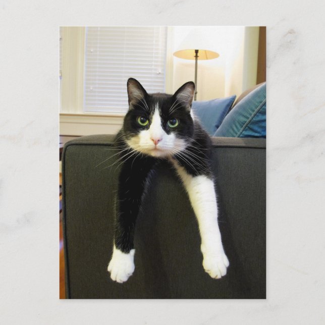 Inget att göra vykort (Framsida)