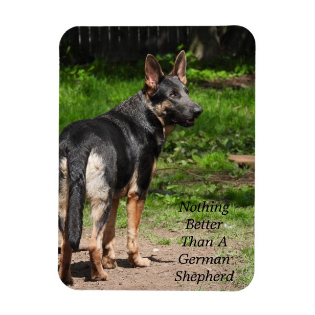 Inget bättre än en tysk shepherd-Hund Magnet (Vertikal)