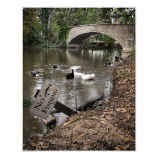Inget fiske i Audubon Park Fototryck