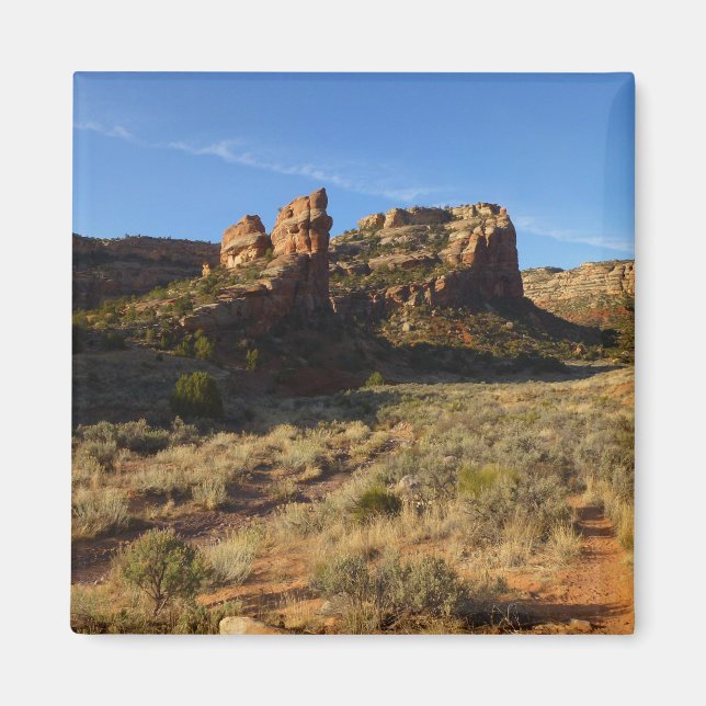 Inget grundligt Canyon Colorado National Monument Magnet (Framsidan)