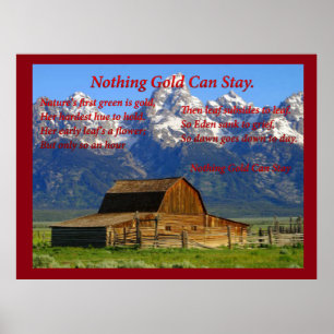 Inget Guld kan stanna Poster