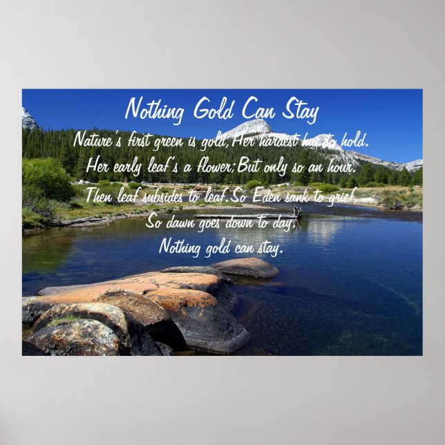 Inget Guld kan stanna Poster 5 (Framsidan)