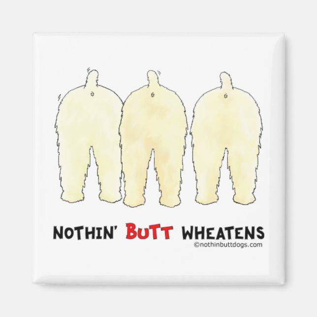 Inget knapphjul magnet (Framsidan)