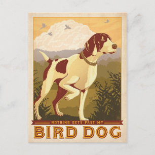 Inget kommer från min fågel Hund Vykort