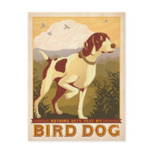 Inget kommer från min fågel Hund