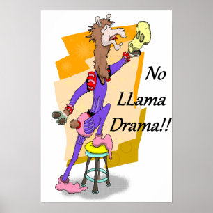 Inget lamadrama! 4 poster