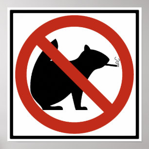 Inget - röka den tillåtna huvudvägen för ekorrar poster