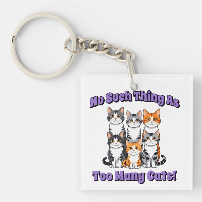 Inget Sak som för många katter! (Framsidan)