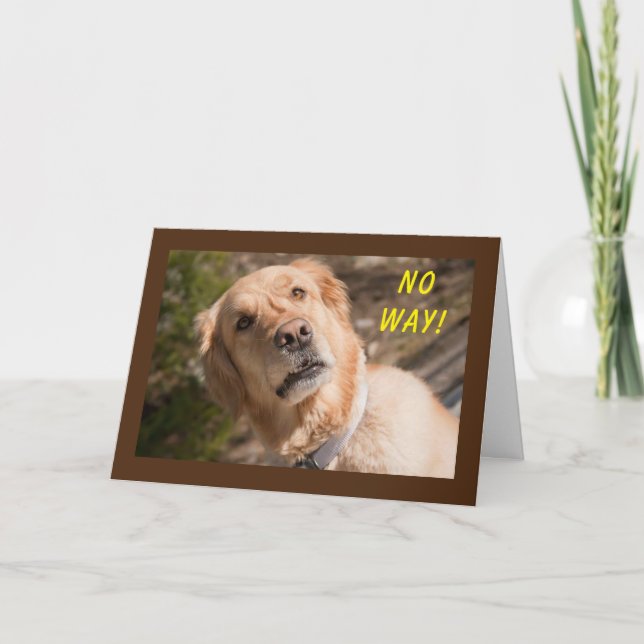 INGET SÄTT "DU" VÄNTAR **60** KORT (Framsida)