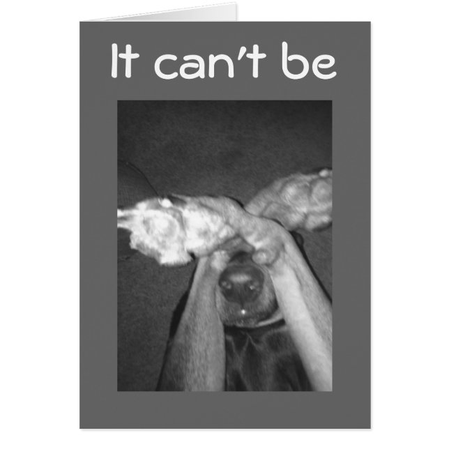 INGET SÄTT- OMÖJLIGT -***30th*** SAYS AMAZED HUND Hälsningskort (Framsidan)