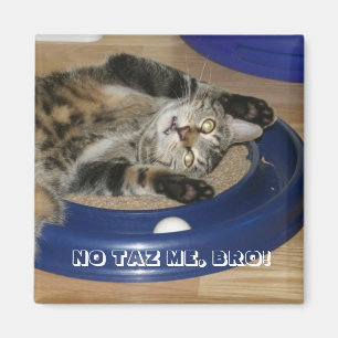 INGET TAZ MIG, BRO! MAGNET