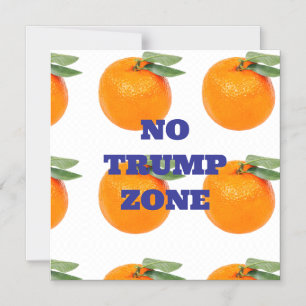 INGET TRUMP ZONT MAGNET