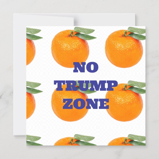 INGET TRUMP ZONT MAGNET (Framsida)