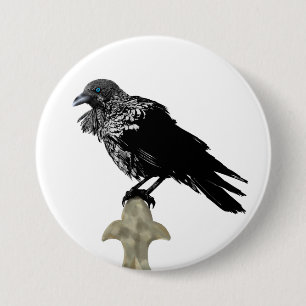Ingiven Raven Knapp