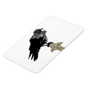 Ingiven Raven Magnet
