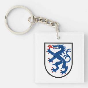 Ingolstadt stadsflagga Tyskland symbol emblem drak