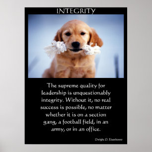 INGRITY Golden Retriever-pupillen med ett vitt rep Poster