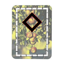 Ingwaz Rune Magnet - Hero!