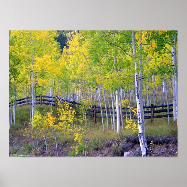 Inhägnad i Aspen Poster (Framsidan)