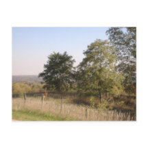 Inhägnad kulle 2004 Foto