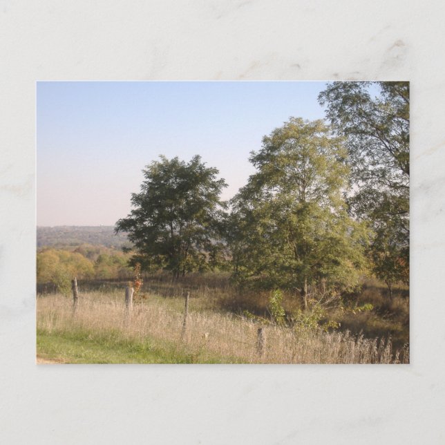 Inhägnad kulle 2004 Foto Vykort (Framsida)