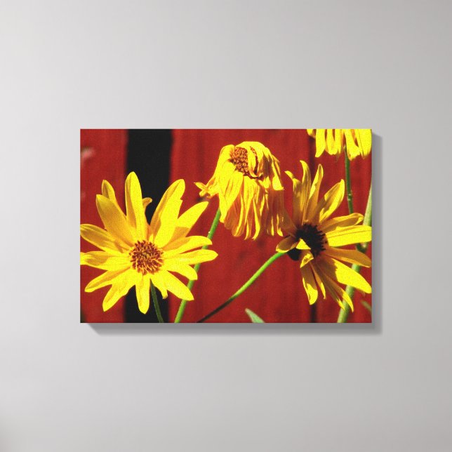 Inhägnad tusenskönas blomsterduktryck canvastryck (Framsida)