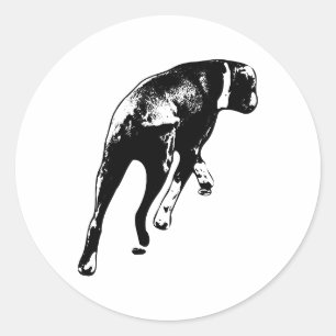 Inhämtad mellansteg - Vinkel Hund bakåt Runt Klistermärke