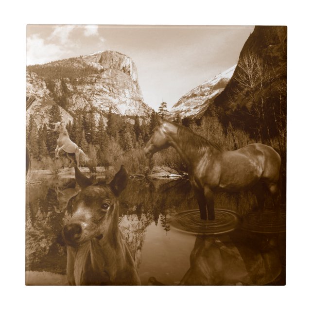 inhemsk amerikan kakelplatta (Framsidan)