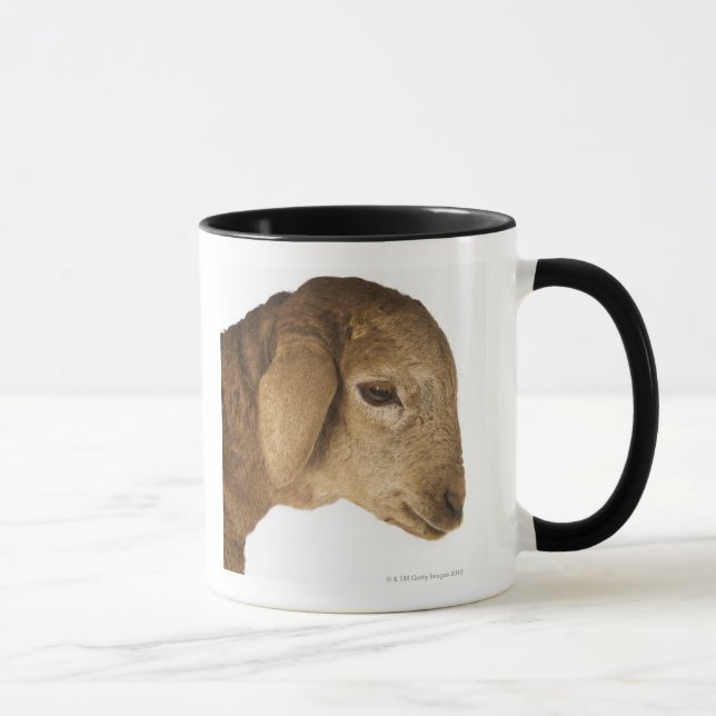 Inhemsk lamb mugg (Höger)