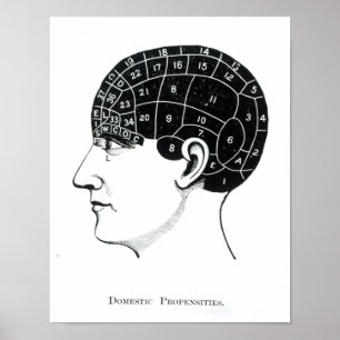 Inhemska Propensities Poster