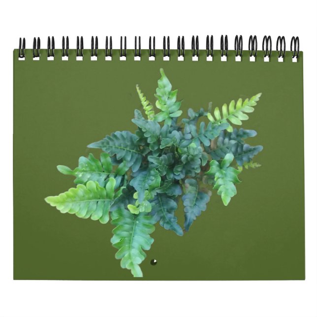 Inhemska växter - Pacific northwest Kalender (Omslag)