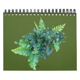 Inhemska växter - Pacific northwest Kalender