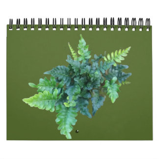 Inhemska växter - Pacific northwest Kalender