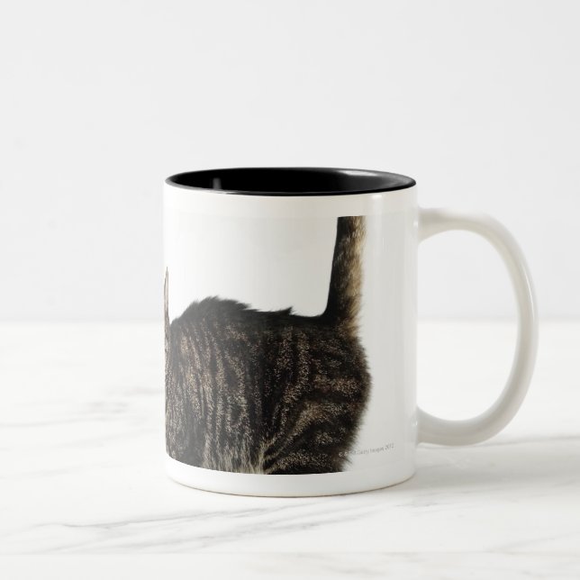 Inhemskt male tabby kattanseende Två-Tonad mugg (Höger)