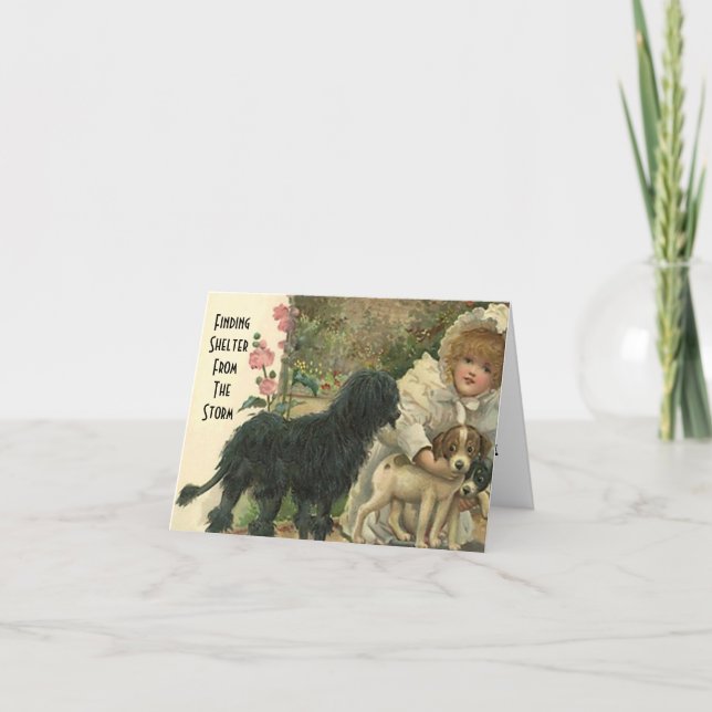 Inkapsling från Storm Pet Cat-Räddingens tackkort (Framsida)