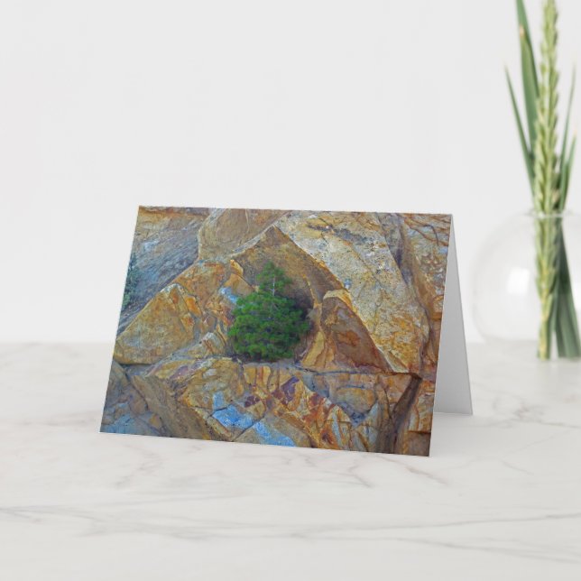 Inkapsling från stormsäsongens hälsningskort helgkort (Framsida)