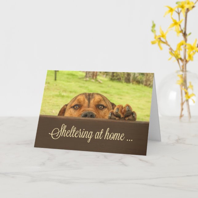 Inkapsling på hemstödskortet Corona Virus Kort (Gul blomma)