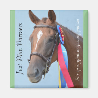 Inkasserbara Magnet-serier - Planera precis partne Magnet