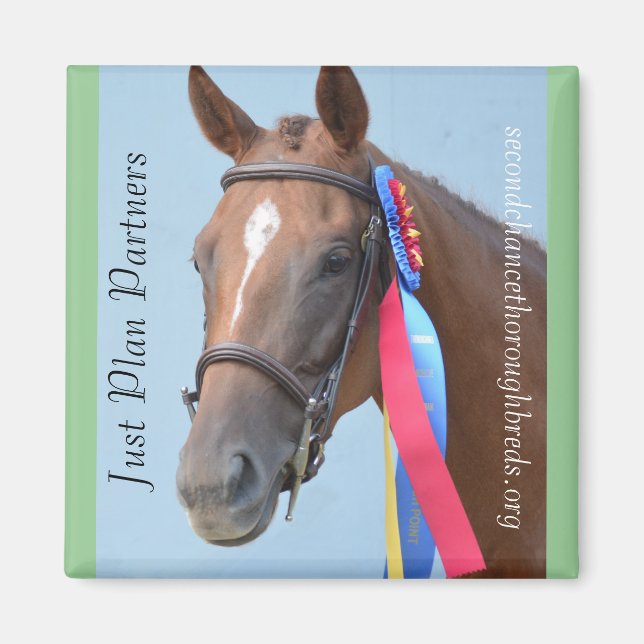 Inkasserbara Magnet-serier - Planera precis partne Magnet (Framsidan)