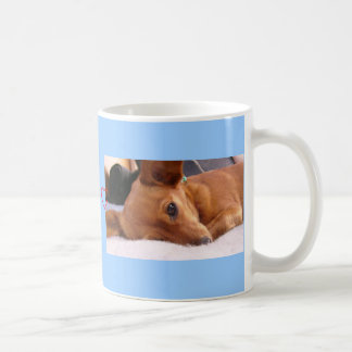 Inki chihuahuaen kaffemugg