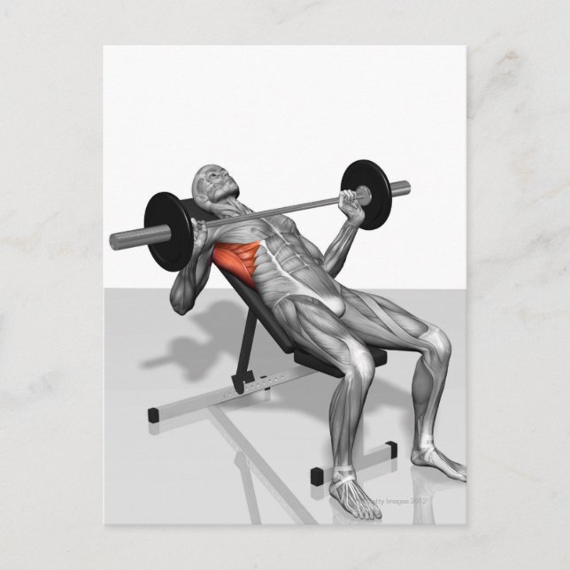 Inkline Bench Press 2 Vykort (Framsida)